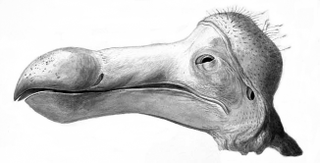 Illustration for article titled Qué es la sexta extinción masiva y por qué somos los responsables